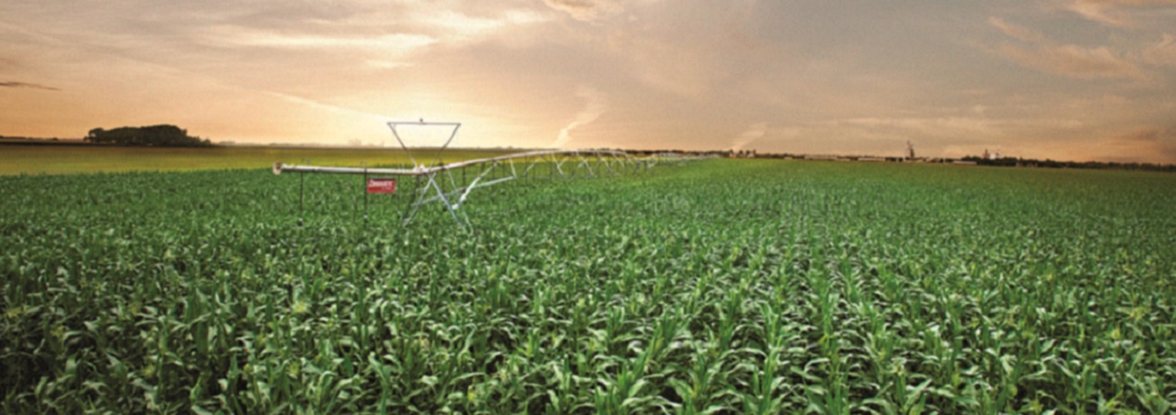 Dia mundial da água celebra uso cada vez mais sustentável na agricultura